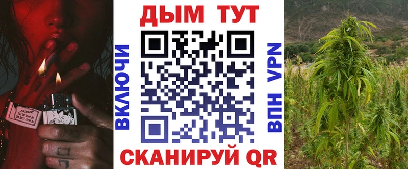 Магазины продажи наркотиков Санкт-Петербург СОЛЬ Мефедрон mega зеркало Кокаин ГАШИШ Псилоцибиновые грибы