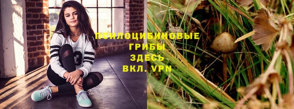 экстази Алексеевка